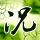 松岛辉空晋级世界杯四强